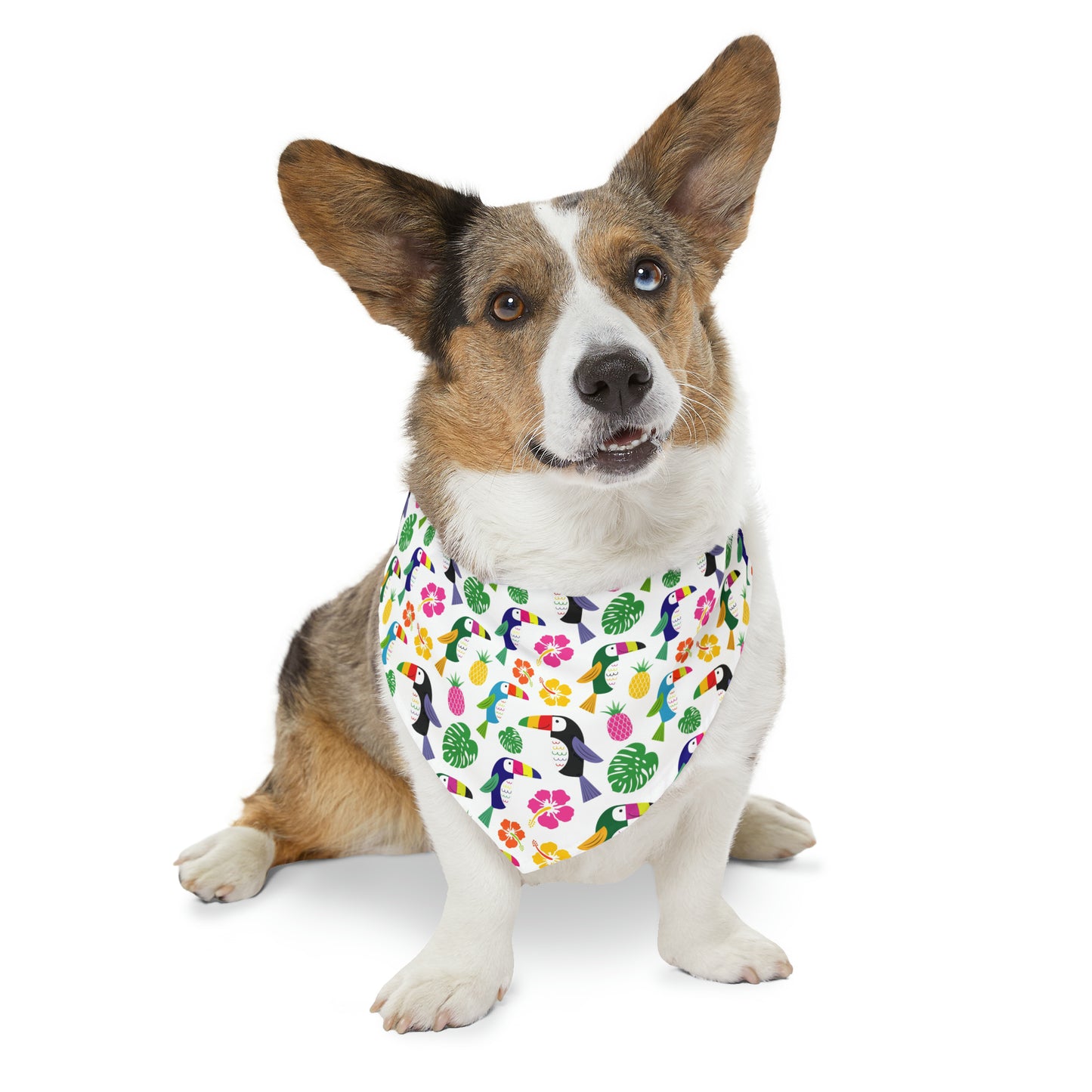 funky-penguin-bandana-collar-Xl-min