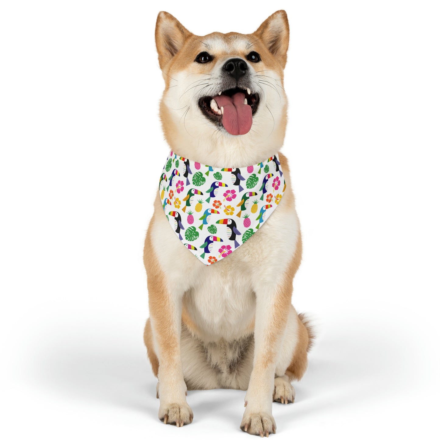 funky-penguin-bandana-md-2048-min