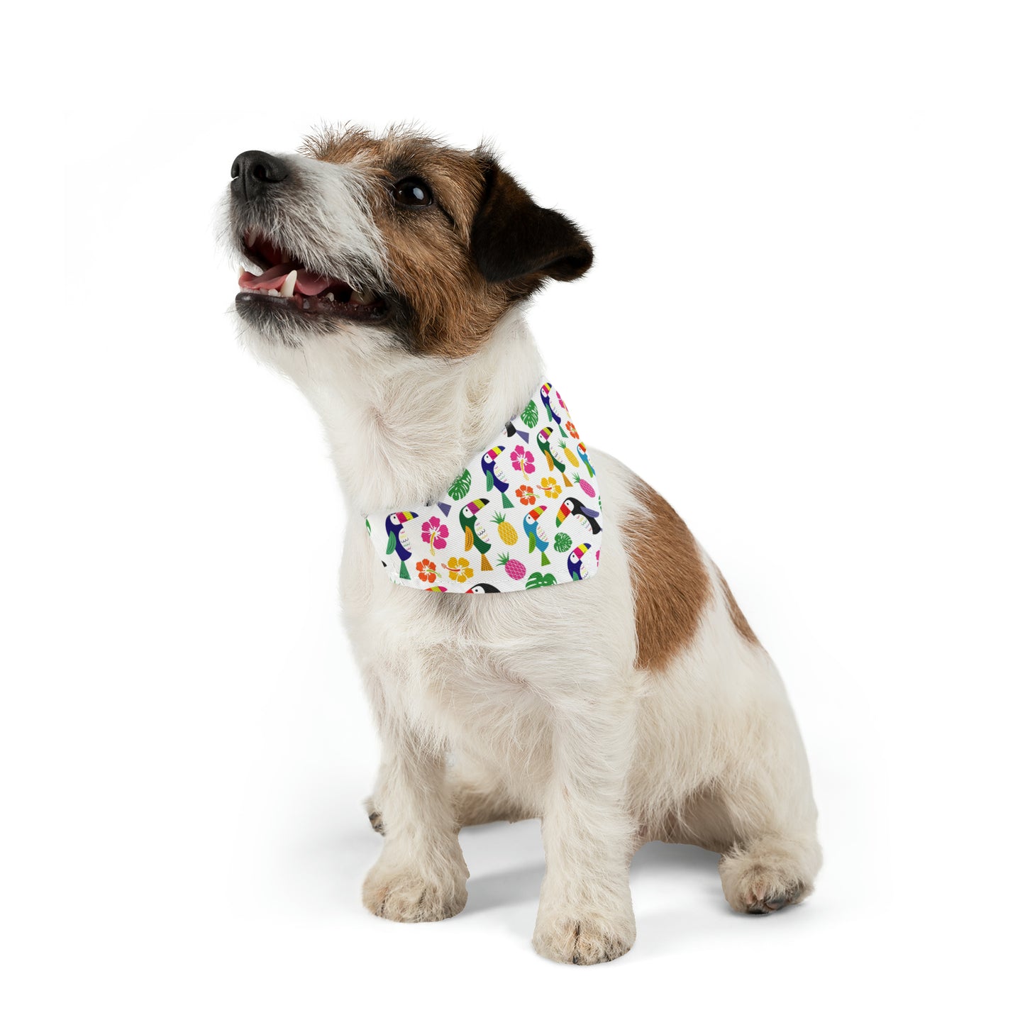 funky-penguin-bandana-sm-2048-min