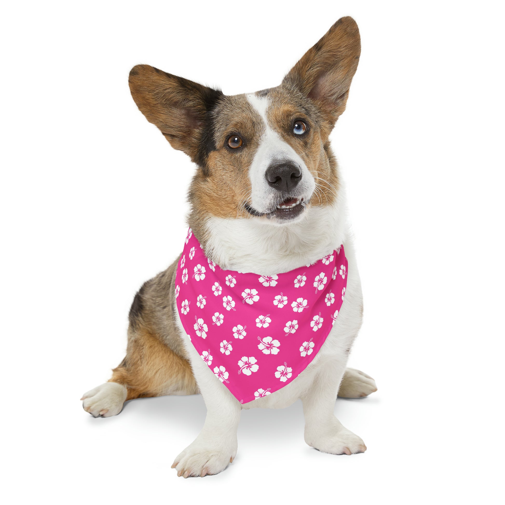 happy-hibiscus-bandana-xl-2048-min