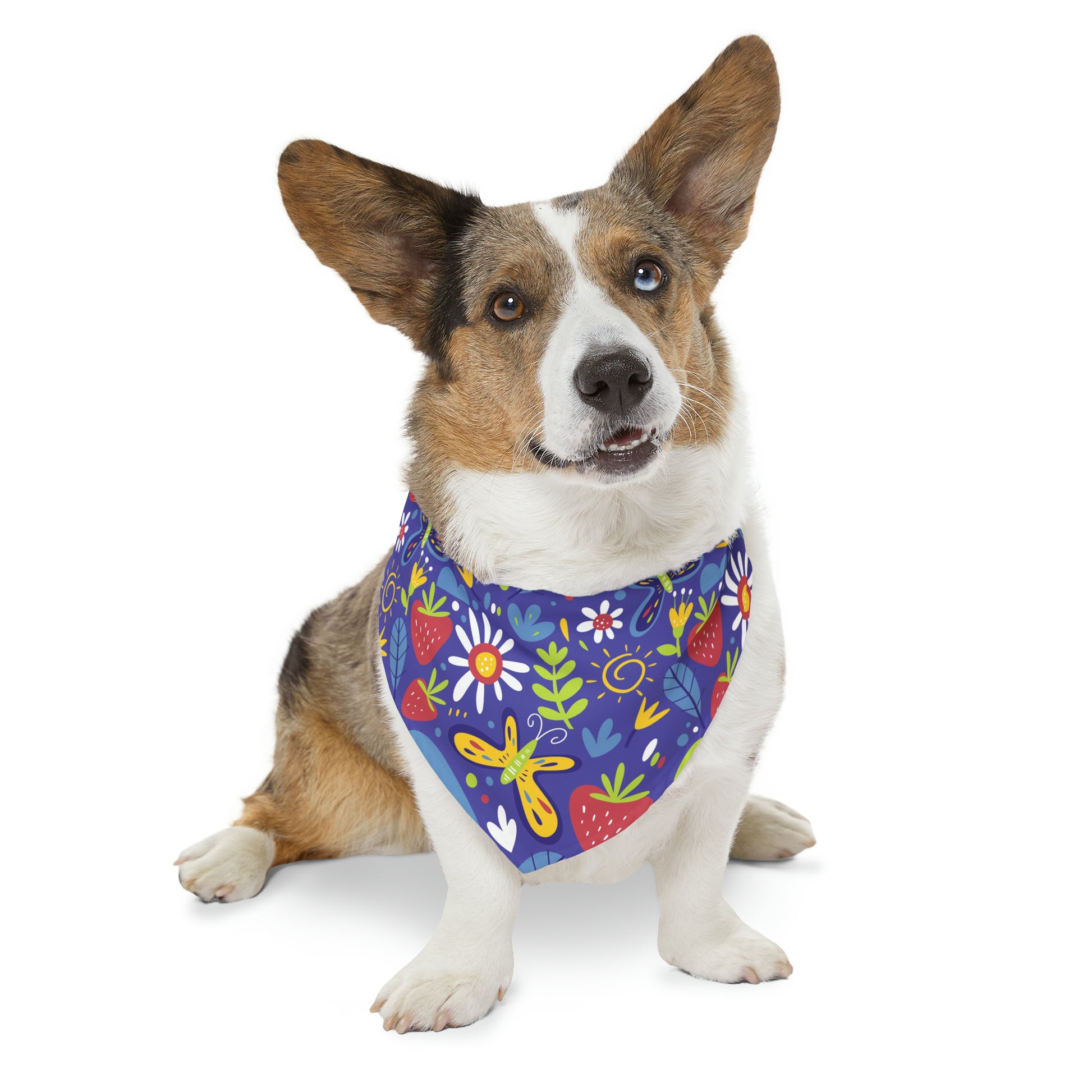 summer-splendor-bandana-collar-xl-2048-min