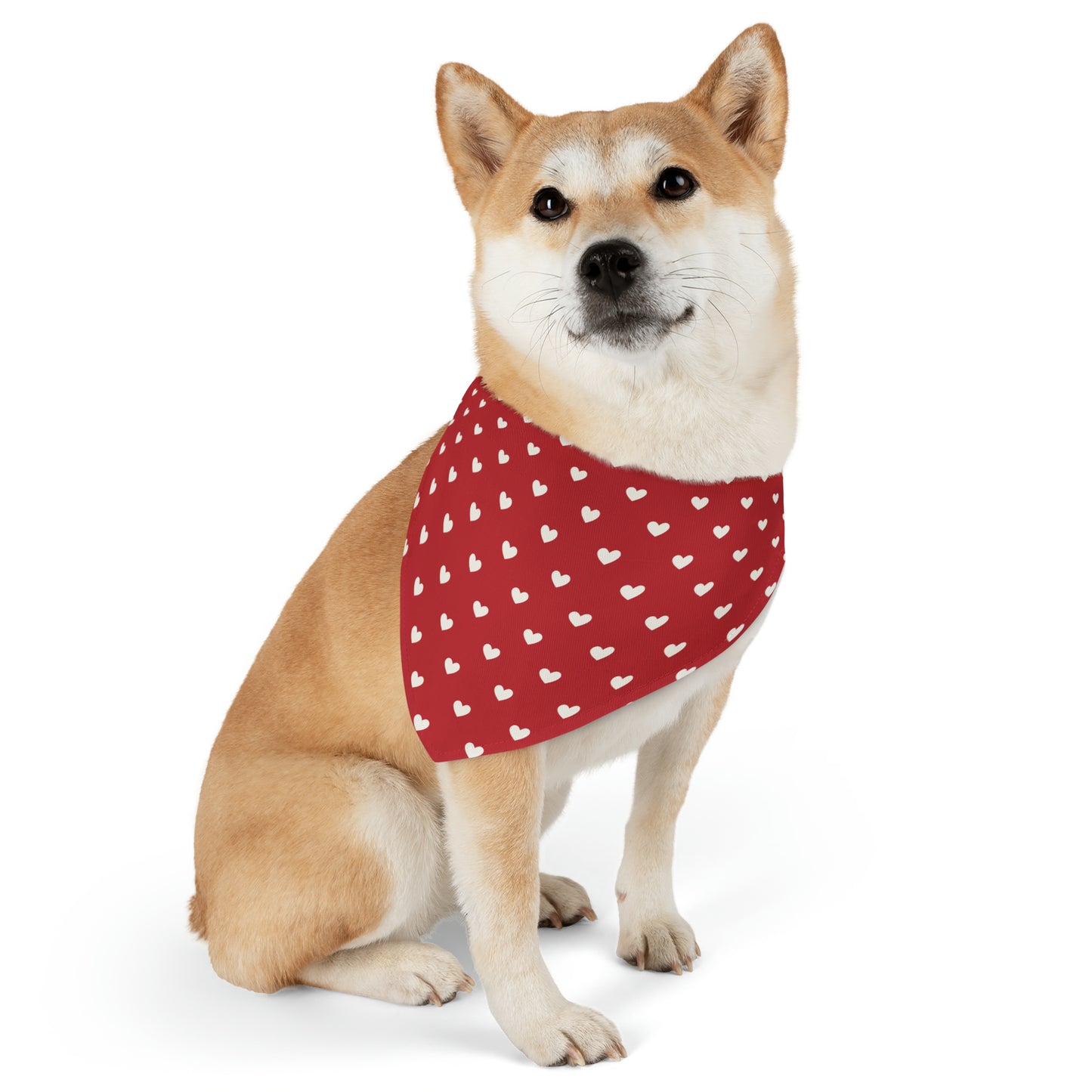 Sweetheart Swag (Dog Bandana Collar)