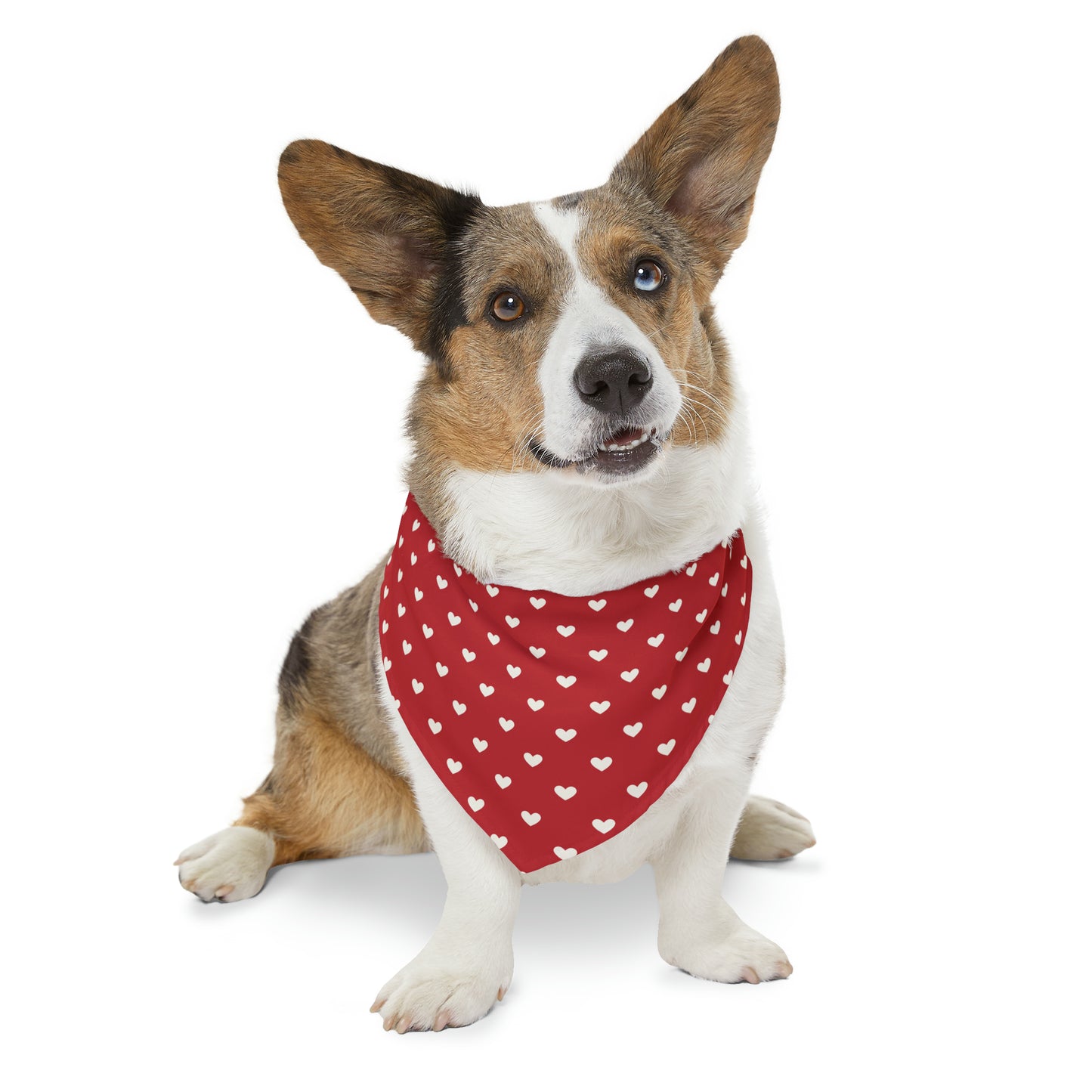 sweeheart-swag-bandana-xl-2048-min
